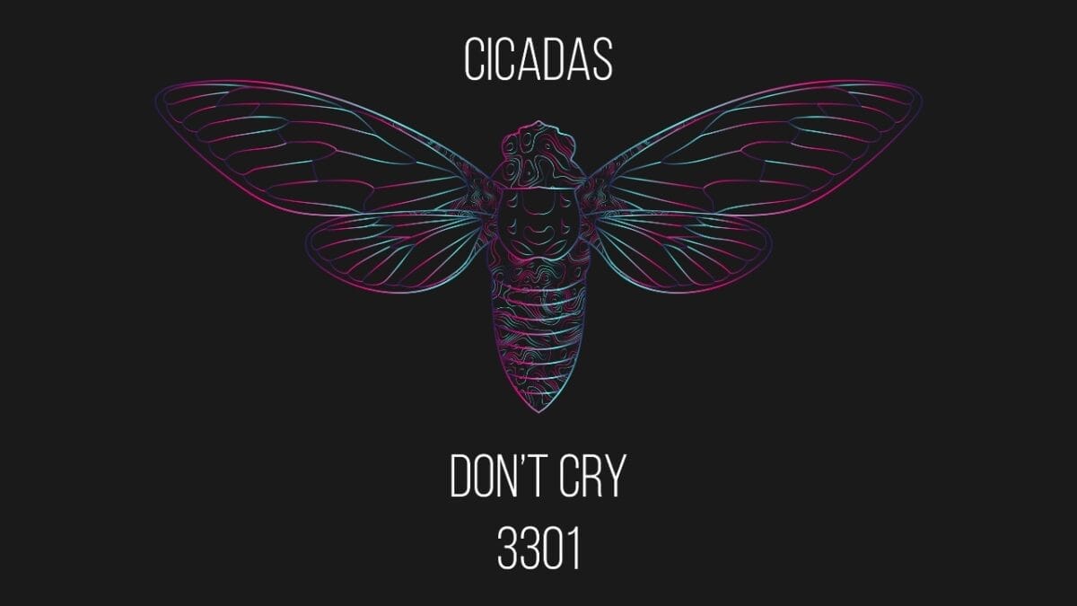 9 Insights: The Historic Brood XIX Cicada Emergence in 2024 10 9 Insights: The Historic Brood XIX Cicada Emergence in 2024 - Cicada dp302928536