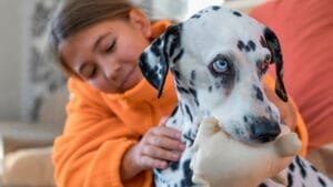 15 Dog Breeds That Sound Great...Until Owners Experience the Reality 1 15 Dog Breeds That Sound Great...Until Owners Experience the Reality - Dalmatian dog breed ss1843434292