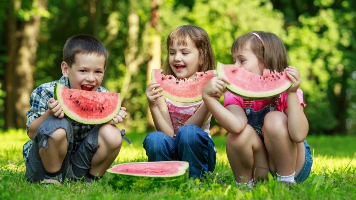7 Nutritional Benefits of Watermelon Rinds That Will Make You Think Twice Before Throwing Them Away - Rich in Nutrients dp24339223