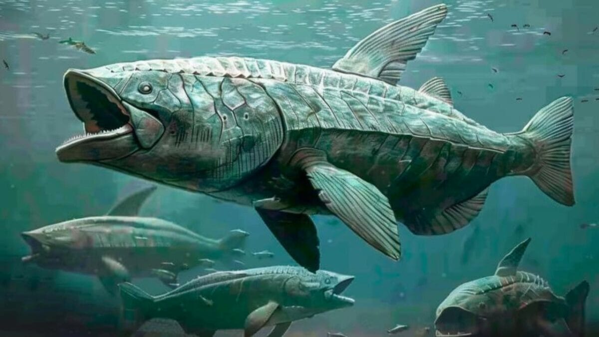 10 Colossal Creatures That Roamed the Earth Before Dinosaurs 9 10 Colossal Creatures That Roamed the Earth Before Dinosaurs - Titanichthys