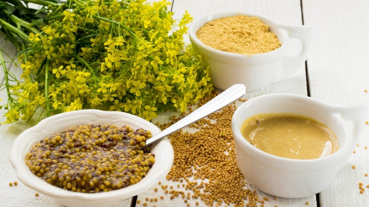 16 Plants You Should Never to Grow Next to Tomatoes 4 16 Plants You Should Never to Grow Next to Tomatoes - WHITE MUSTARD SEEDS dp81988374