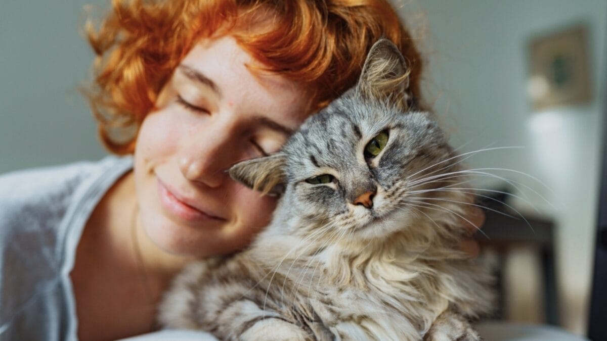 10 Purr-fect Signals of Feline Trust & Affection 6 10 Purr-fect Signals of Feline Trust & Affection - adorable cat ss2409205407