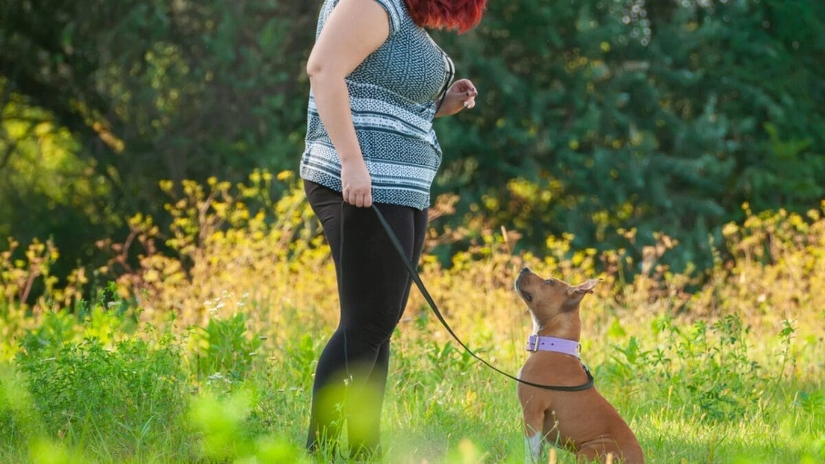 10 Things About American Staffordshire Terriers You Probably Didn't Know 3 10 Things About American Staffordshire Terriers You Probably Didn't Know - american terrier dog woman dp248180122