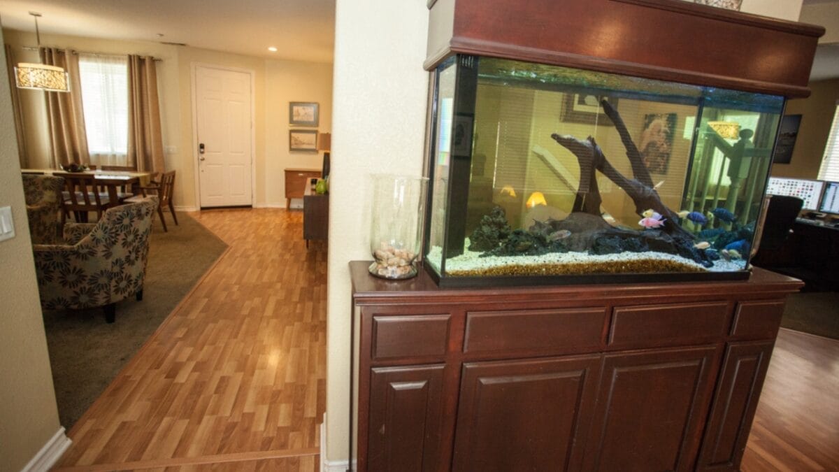 10 Home Objects & Appliances Disrupting Your WiFi Signal - aquarium in living room ss639527149