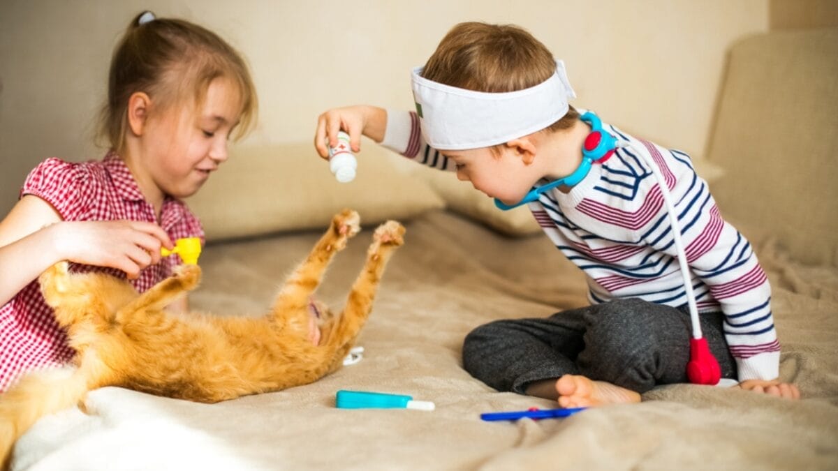 Cats Aren’t Just Cute—Here Are 20 Life-Changing Benefits - autistic children playing cat ss1168177933