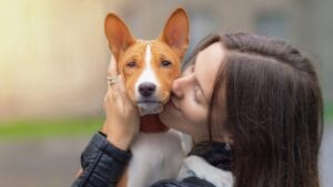 A Fascinating Barkless Dog of African Origins: Basenji 1 A Fascinating Barkless Dog of African Origins: Basenji - basenji with a woman ss1825546352