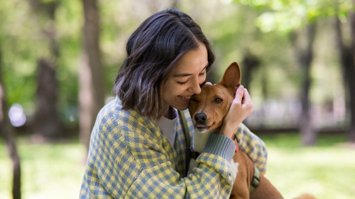 12 Things Only Basenji Dog Owners Will Understand - basenni dog loyalty ss2313672855