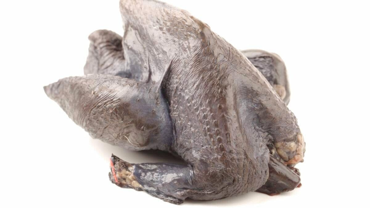 A Cut Above the Rest: 12 of The World's Most Luxurious & Expensive Meats 11 A Cut Above the Rest: 12 of The World's Most Luxurious & Expensive Meats - black chicken meat dp 28294321 DS.jpg