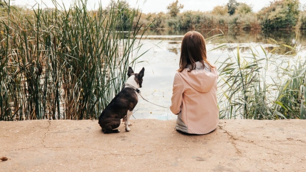 The Legacy of WWI Sgt. Stubby: 10 Educational Facts About Boston Terriers 11 The Legacy of WWI Sgt. Stubby: 10 Educational Facts About Boston Terriers - boston dog sitting with girl ss2038209146