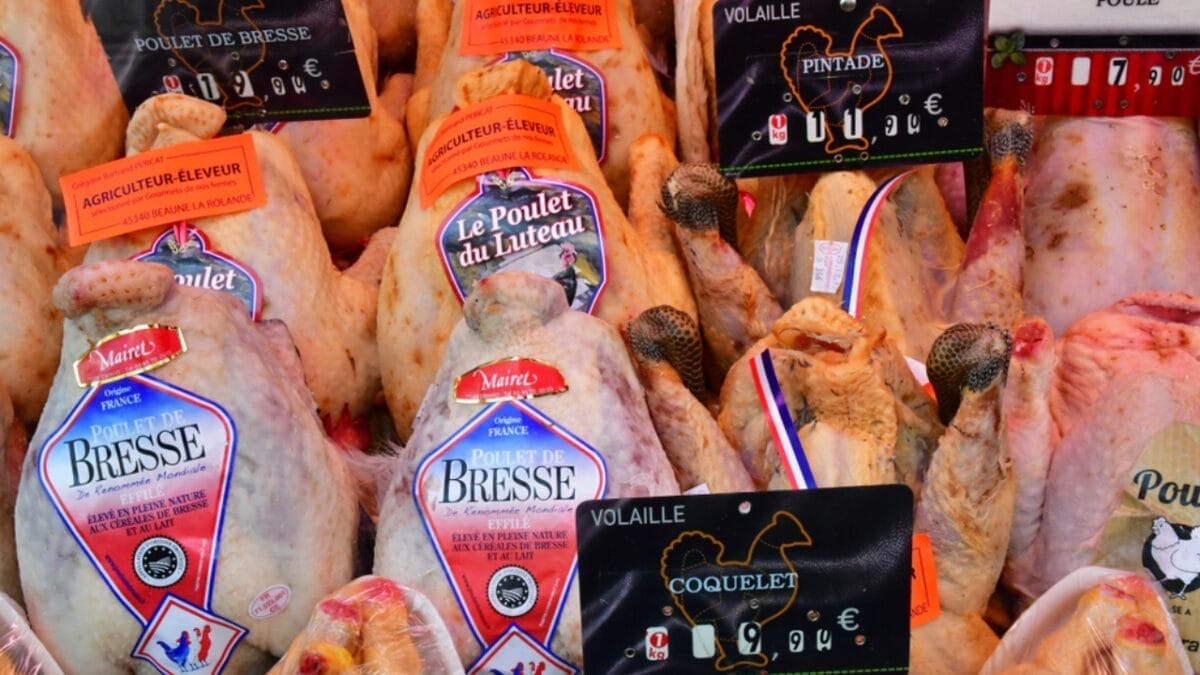 A Cut Above the Rest: 12 of The World's Most Luxurious & Expensive Meats - bresse chicken meat ss1069699424