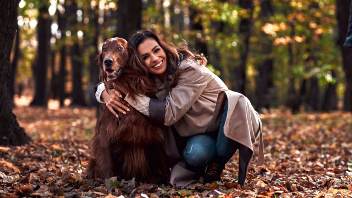 Dog Breeds: All Types from Small to Giant, Personalities & Characteristics 66 Dog Breeds: All Types from Small to Giant, Personalities & Characteristics - brown irish setter ss2034016208