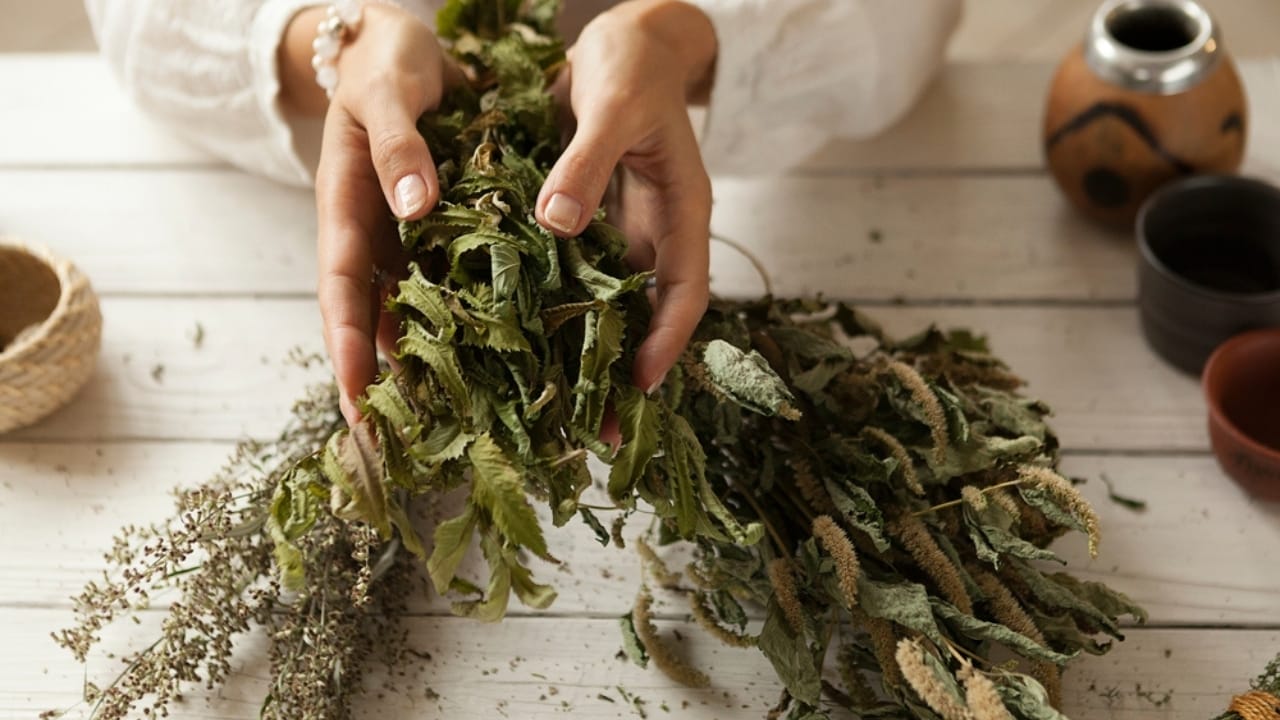 bunch_of_dried herbs_ss2060210852 How to Cultivate Your Own Flavorful Herb Garden at Home - bunch of dried herbs ss2060210852