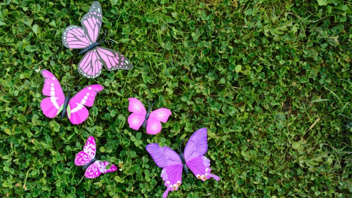 The Art of Imitation: 5 Common Materials That Borrow from Nature 3 The Art of Imitation: 5 Common Materials That Borrow from Nature - butterfly wing display in grass dp162771482