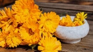 Growing This Edible Flower Brings Bees & Beauty to Your Garden 1 Growing This Edible Flower Brings Bees & Beauty to Your Garden - calendula flower bowl ss2363695149