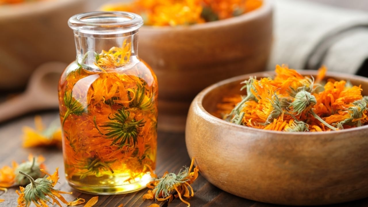 Natural Enzyme Blocker Found in Flowers Offers New Hope for MS & Cancer Therapy 6 Natural Enzyme Blocker Found in Flowers Offers New Hope for MS & Cancer Therapy - calendula flower oil ss2039870162