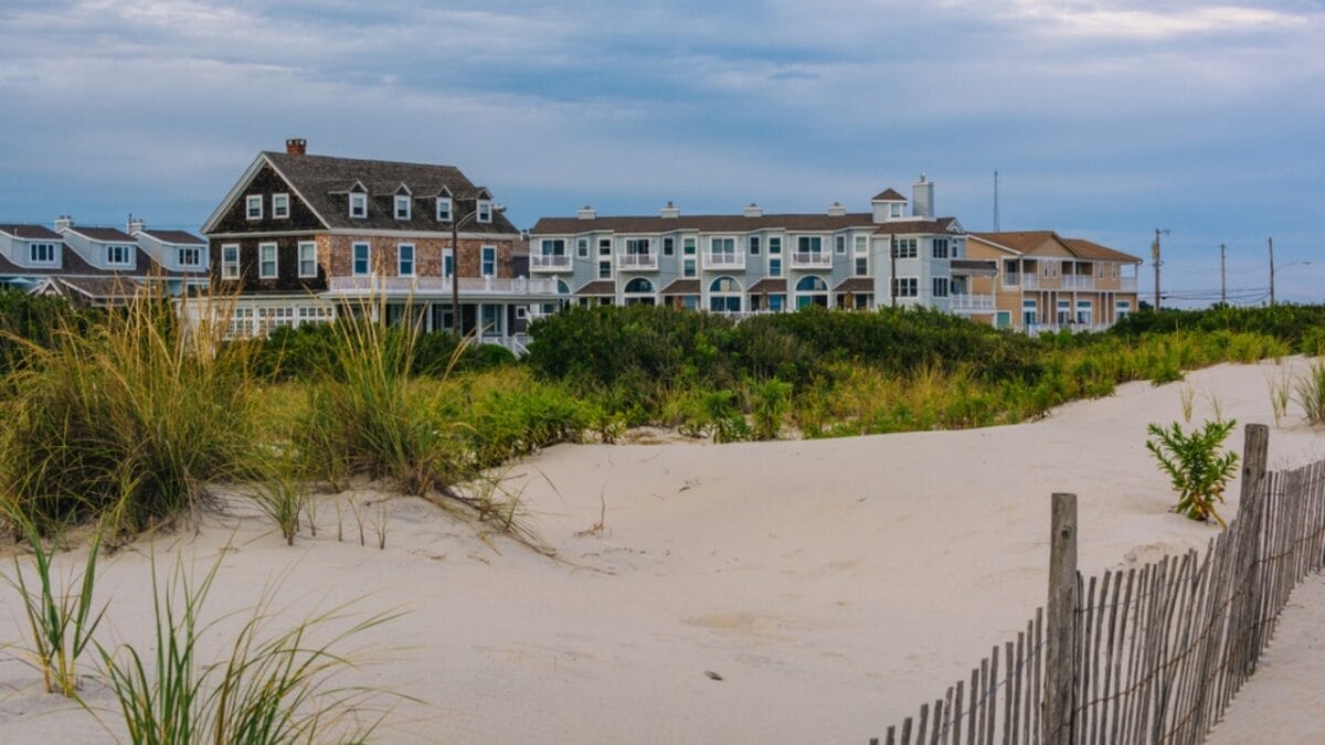 12 Best US States for Bird Watching 7 12 Best US States for Bird Watching - cape may new jersey dp206758922