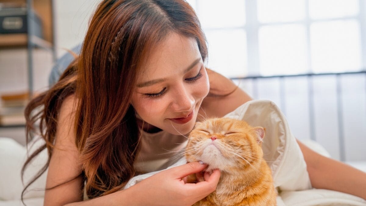 The Cat's Out of the Bag: 12 Little-Known Feline Facts 14 The Cat's Out of the Bag: 12 Little-Known Feline Facts - cat being stroked on chin ss2310468417