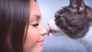 The Magic of Slow Blinking to Win a Cat's Trust 1 The Magic of Slow Blinking to Win a Cat's Trust - cat licking owner ss2092510543