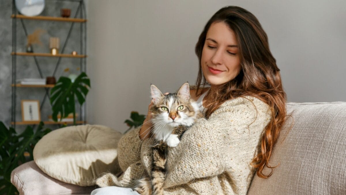 9 Telltale Signs Your Cat Has Your Back 8 9 Telltale Signs Your Cat Has Your Back - cat with owner dp536169130