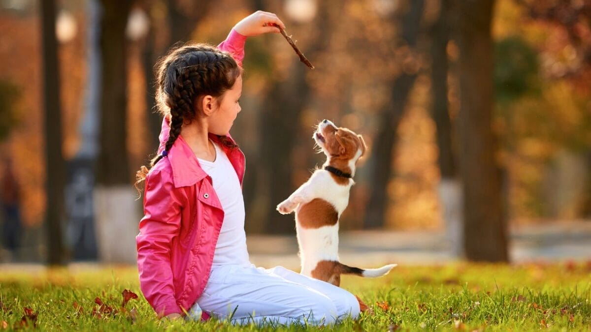 10 Worst Dog Breeds for Kids 12 10 Worst Dog Breeds for Kids - child dog interaction ss759039109