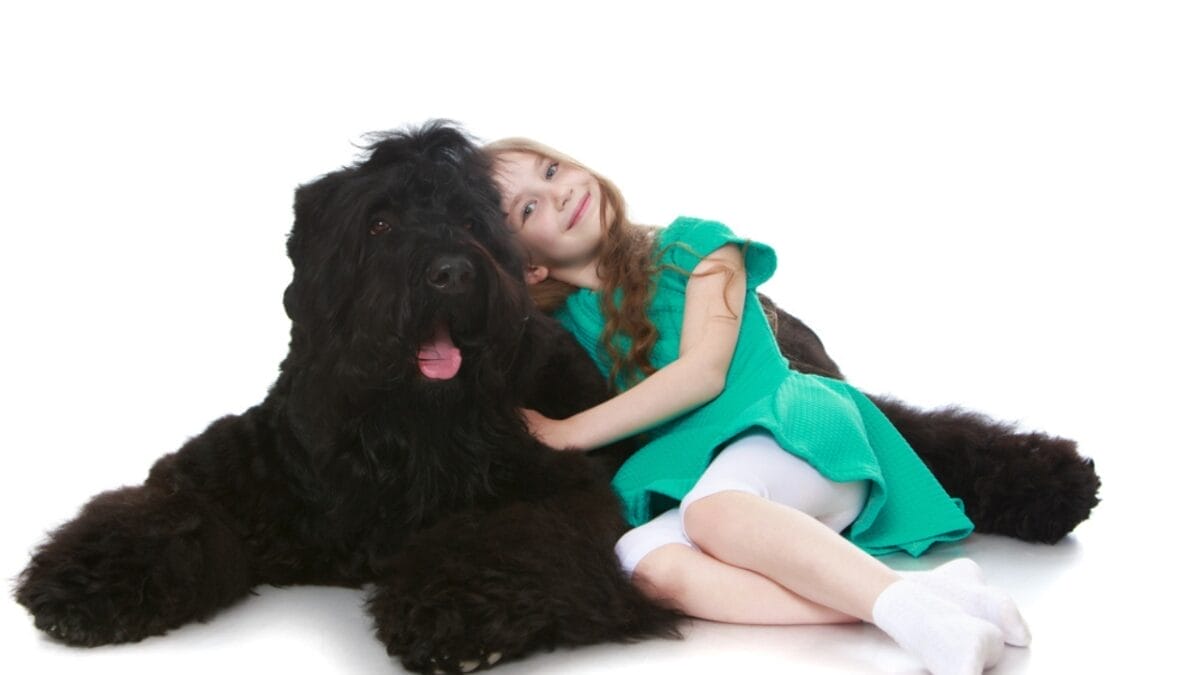 From Soviet Guards to Family Protectors: Black Russian Terriers 10 From Soviet Guards to Family Protectors: Black Russian Terriers - child hugging russian dog ss479471488