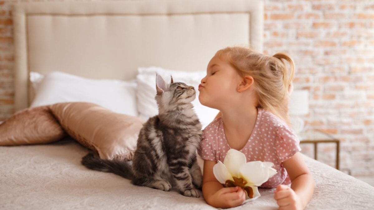 10 Comforting Reasons Cats Always Sleep Next to Their Humans - child kissing cat bed ss689876338