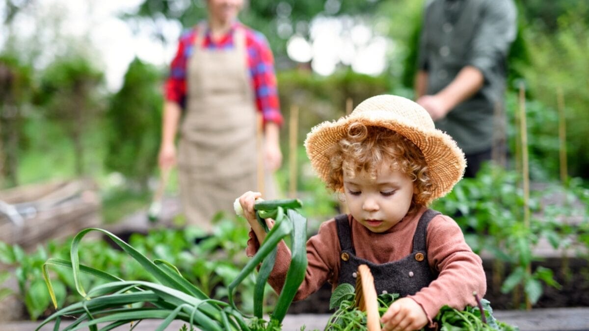 Bountiful Raised Garden Beds in 9 Easy Steps - child nourishing garden bed ss1793371735
