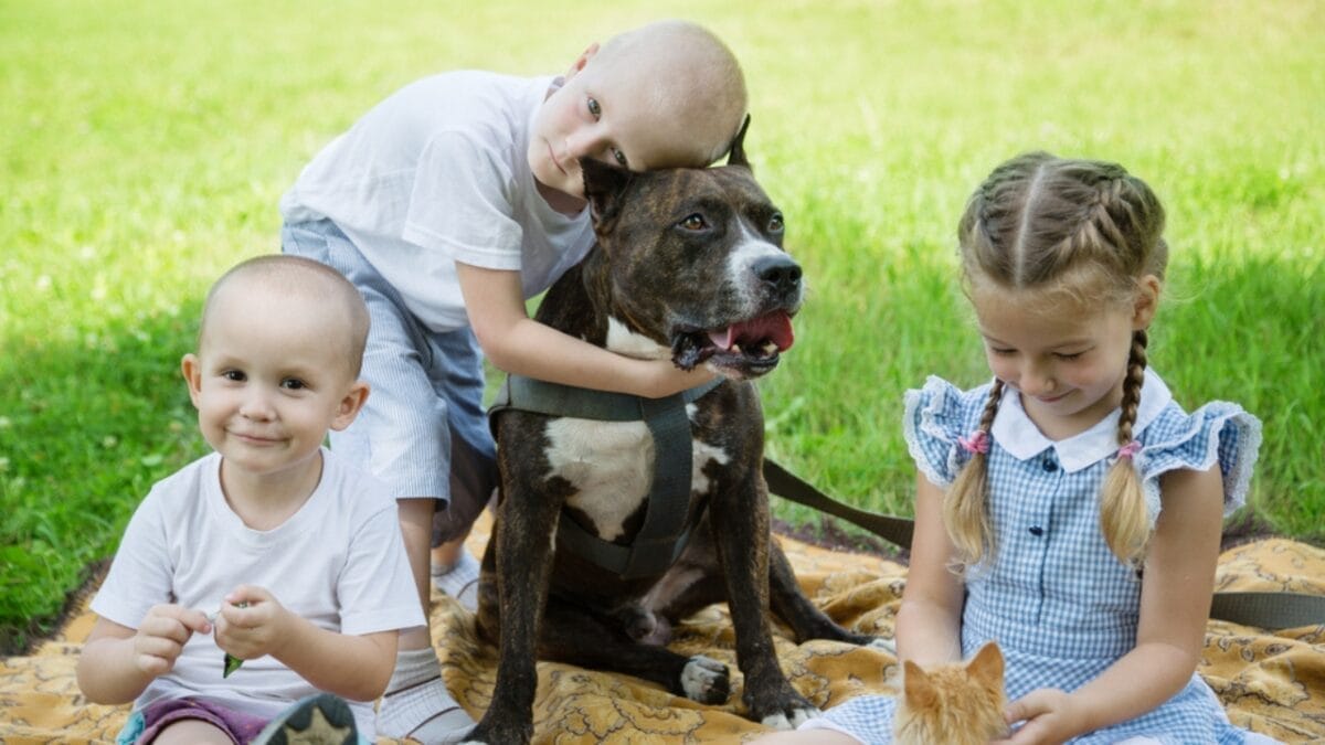 10 Things About American Staffordshire Terriers You Probably Didn't Know 5 10 Things About American Staffordshire Terriers You Probably Didn't Know - children hugging american terrier dog dp86498148