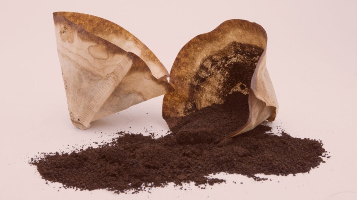 10 Reasons to Leave a Bowl of Coffee Grounds Out in Your Kitchen - coffee grounds tea bag ss295917041