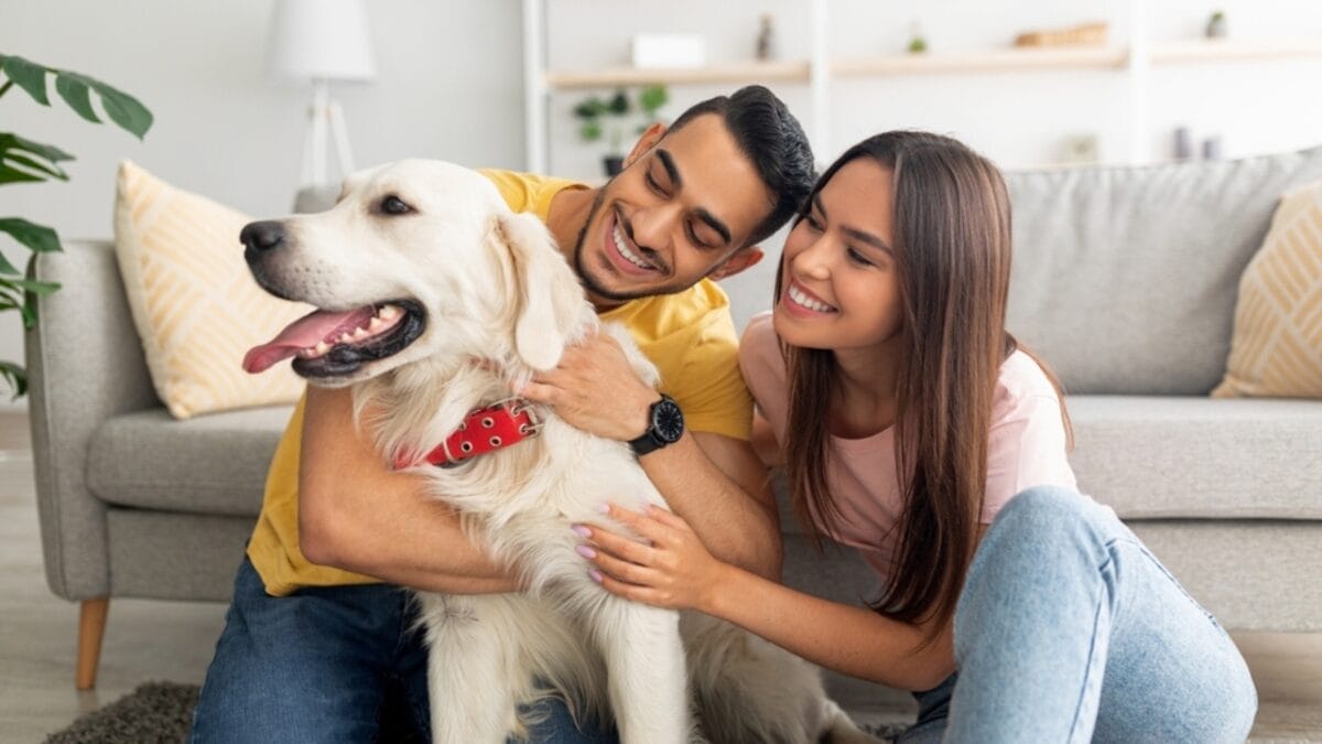 Dog Breeds: All Types from Small to Giant, Personalities & Characteristics 62 Dog Breeds: All Types from Small to Giant, Personalities & Characteristics - couple hugging labrador retriever ss2040640154