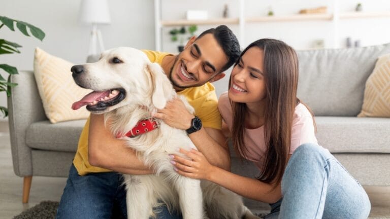 10 Items Every Labrador Retriever Owner Should Invest In 5 10 Items Every Labrador Retriever Owner Should Invest In - couple hugging labrador retriever ss2040640154