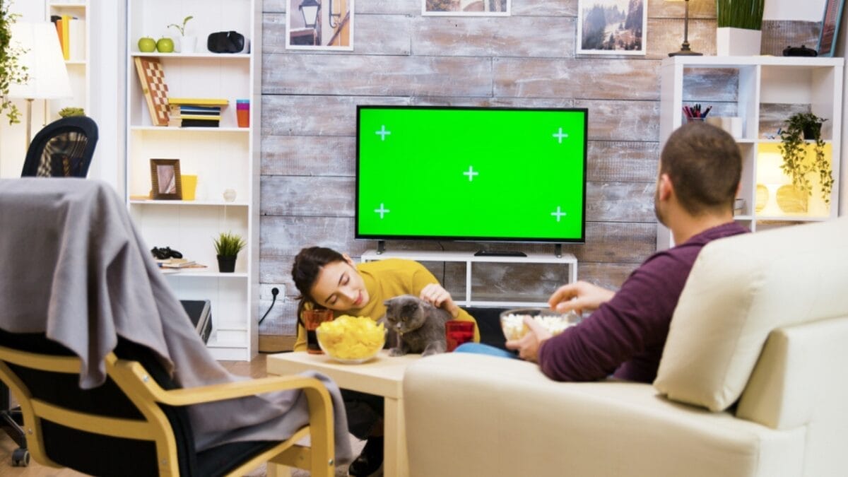 Do Cats Really See What's on TV Just Like We Do? 6 Do Cats Really See What's on TV Just Like We Do? - couple with cat watching tv dp354064812