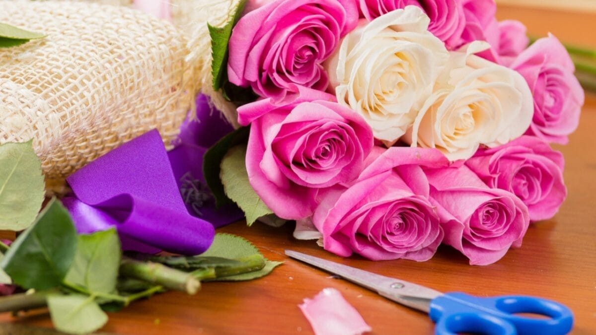 11 Unexpected Ways Vinegar Can Be Beneficial To Your Garden - cut flowers dp57353647