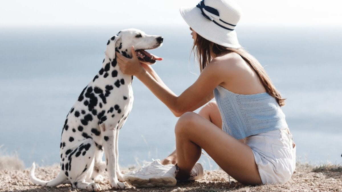 10 Things Only Dalmatian Aficionados Truly Know 10 10 Things Only Dalmatian Aficionados Truly Know - dalmatian with owner dp392005910