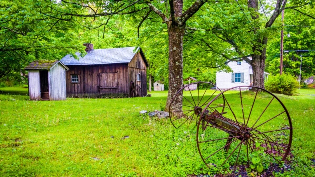 7 States with the Most Foxes in America: Ranked 6 7 States with the Most Foxes in America: Ranked - delaware ss213912022