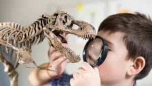 19 Unusual But Fascinating Dinosaur Facts You Probably Never Learned in School 1 19 Unusual But Fascinating Dinosaur Facts You Probably Never Learned in School - dinosaur studying ss1672266328