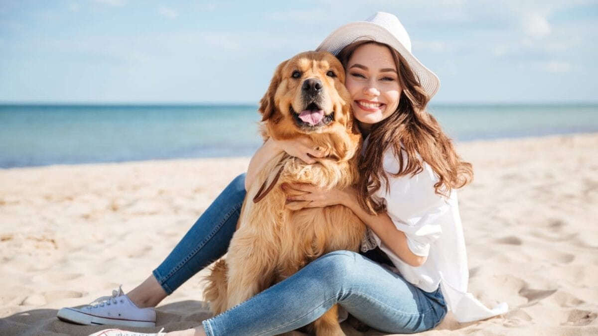 20 Unforgettable Experiences for Your Dog's Bucket List 4 20 Unforgettable Experiences for Your Dog's Bucket List - dog beach ss454107526