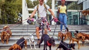 Dog Breeds: All Types from Small to Giant, Personalities & Characteristics 1 Dog Breeds: All Types from Small to Giant, Personalities & Characteristics - dog breeds walking ss2051387969