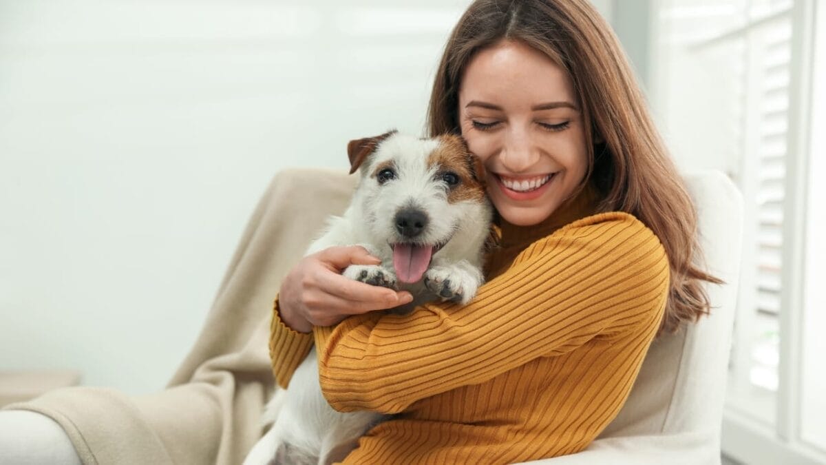 7 Terrier-ific Dogs: These Fascinating Terrier Breeds Have Won Our Hearts - dog owner ss1690835497