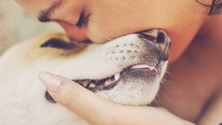 These 17 Dog Breeds are Perfect for Snuggling & Emotional Support - dog sad ss621459653