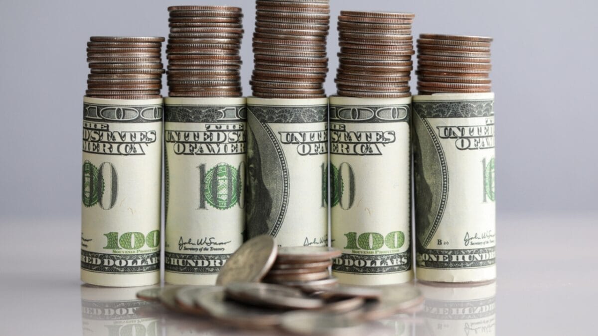 10 Considerations Before Adding an English Foxhound to Your Household 10 10 Considerations Before Adding an English Foxhound to Your Household - dog adoption cost dp371658542