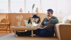 10 Dog Breeds Perfect for Homebodies 1 10 Dog Breeds Perfect for Homebodies - dog at home ss1689004012