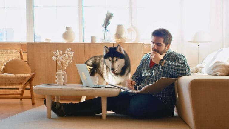 10 Dog Breeds Perfect for Homebodies 2 10 Dog Breeds Perfect for Homebodies - dog at home ss1689004012