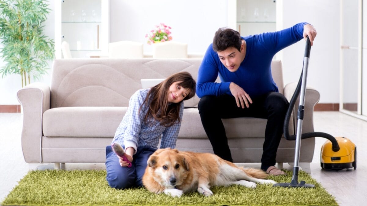 11 Dogs That Shed the Worst 13 11 Dogs That Shed the Worst - dog cleaning ss1099697699