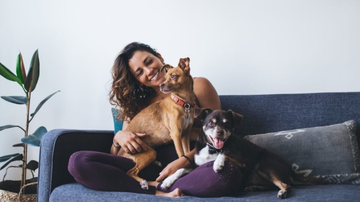 11 Dog Myths People Don't Realize are Wrong - dog first time owner ss2271761007