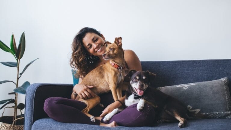 11 Dog Breeds Perfect for First-Time Owners 4 11 Dog Breeds Perfect for First-Time Owners - dog first time owner ss2271761007