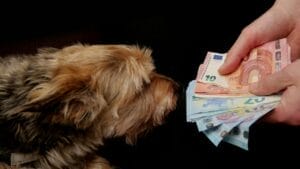 The High Cost of Cute: 8 Dog Breeds Considered "Unethical" to Buy 1 The High Cost of Cute: 8 Dog Breeds Considered "Unethical" to Buy - dog holding money ss1984099316