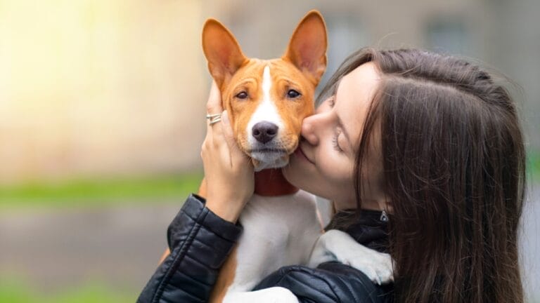 12 Things Only Basenji Dog Owners Will Understand - dog hugging with owner ss1825546352