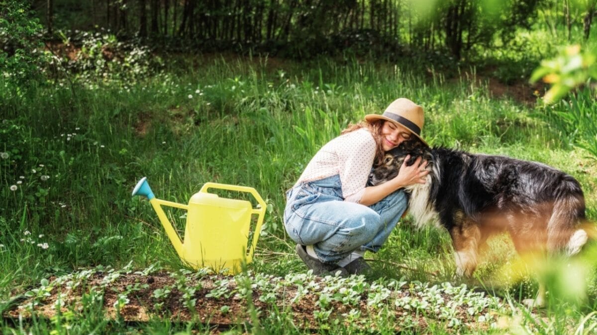 10 Ways to Drive Moles Out of Your Yard for Good 10 10 Ways to Drive Moles Out of Your Yard for Good - dog in garden ss2154535791