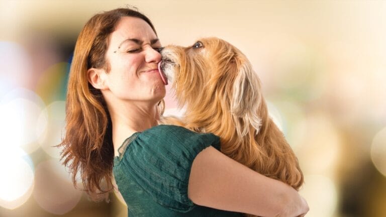 12 Reasons Behind Your Pup's Kisses 3 12 Reasons Behind Your Pup's Kisses - dog kissing human ss370197290